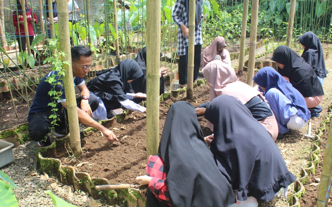 Latih Keterampilan Berkebun, Ekstrakurikuler Hortikultura AABS Purwokerto Praktik Menanam Tanaman Sayur