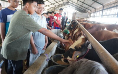 Shahibul Qurban Trip 1445H, Siswa AABS Purwokerto Dilatih Manajerial Hewan Qurban