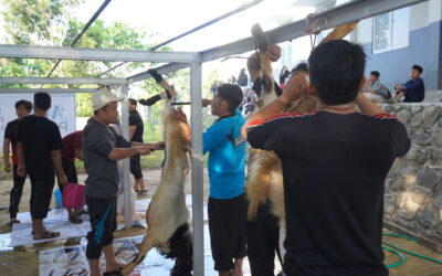 AABS Purwokerto Sembelih 23 Hewan Qurban, Sapi dan Kambing